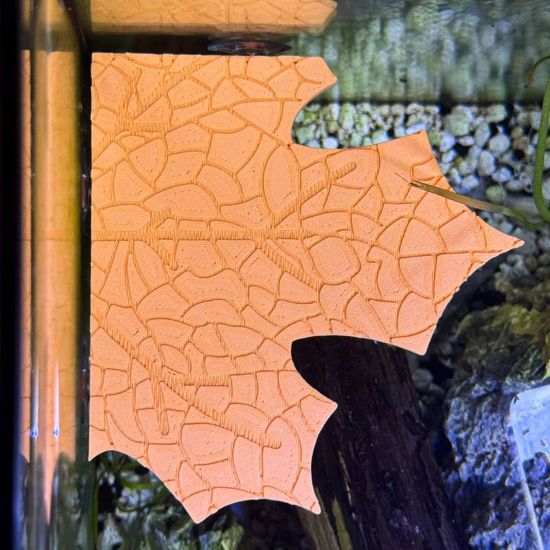 Fall Maple Leaf Corner Frog Perch