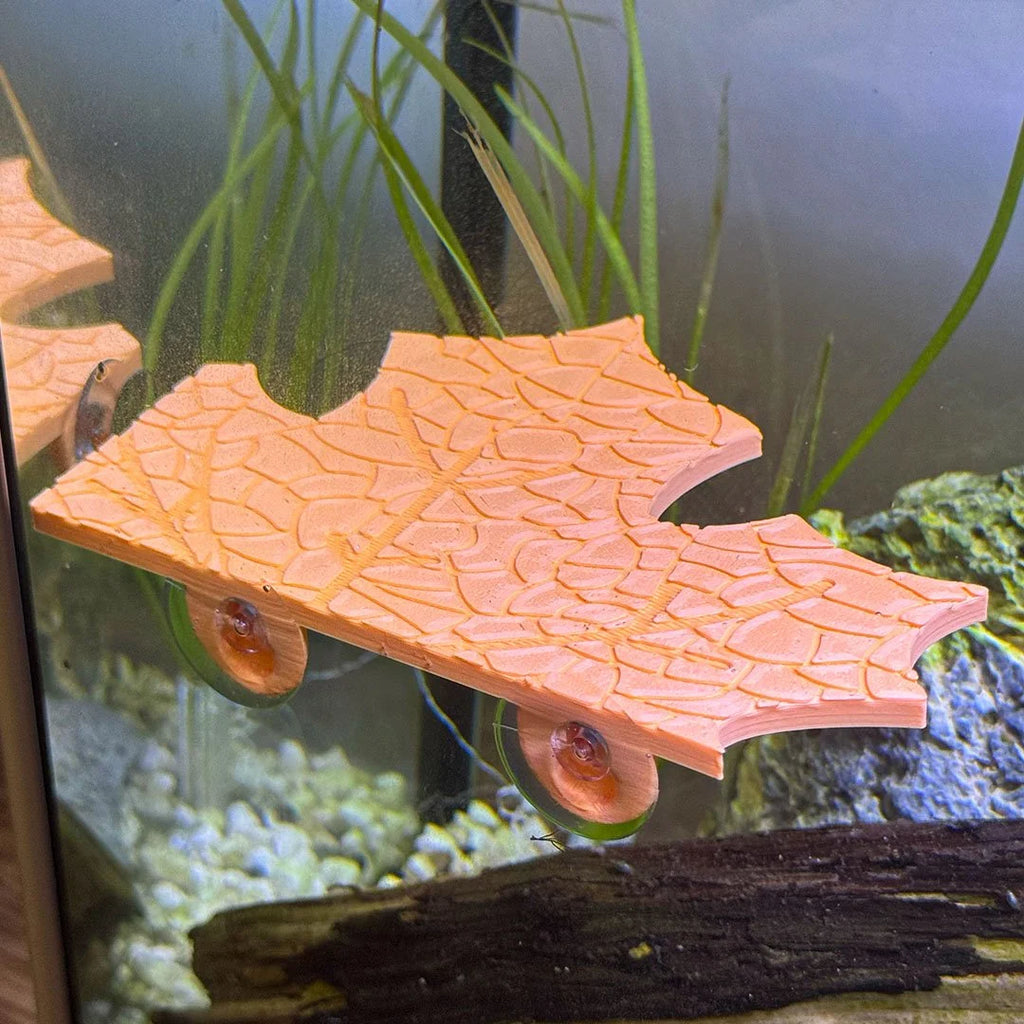 Fall Maple Leaf Corner Frog Perch