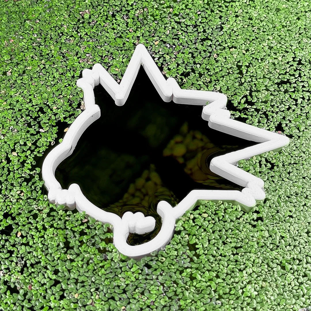 Geng Ghost Pokeportal Fish Feeding Portal