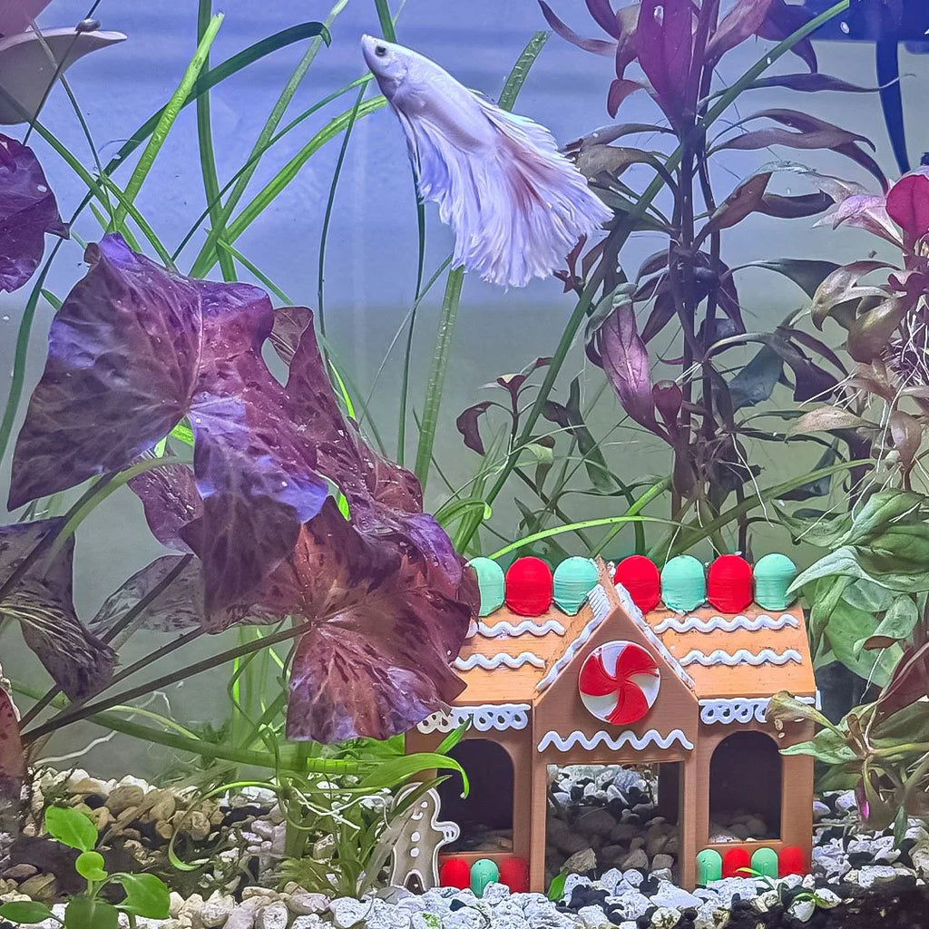 Gingerbread Betta Hide / Cave