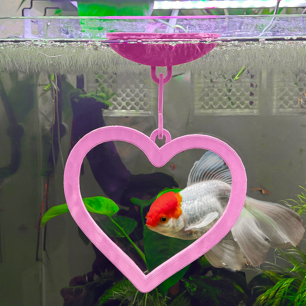Floating Heart Goldfish Swim Ring
