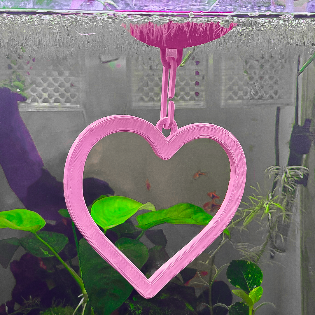 Floating Heart Goldfish Swim Ring