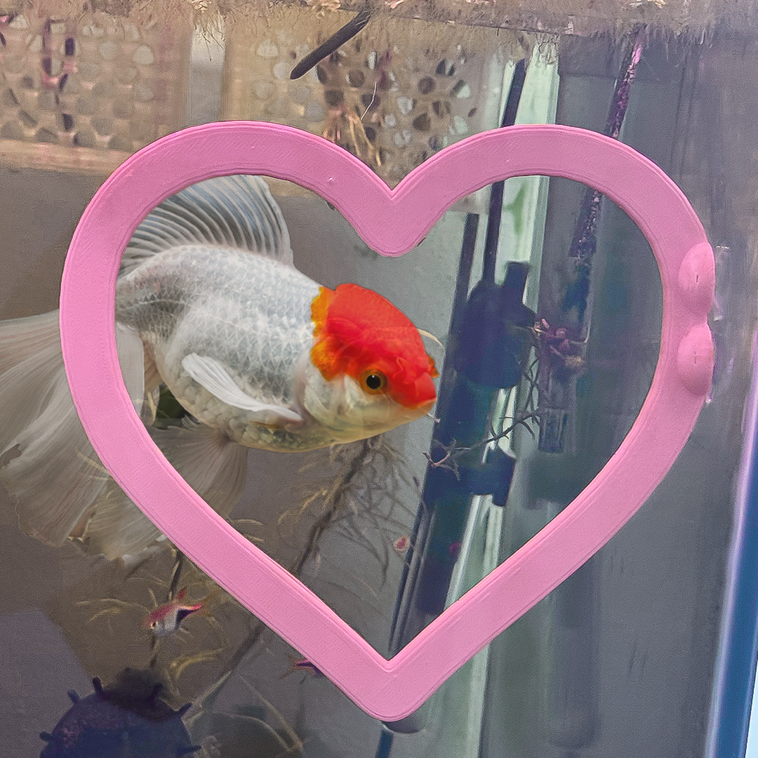 Heart Goldfish Swim Ring