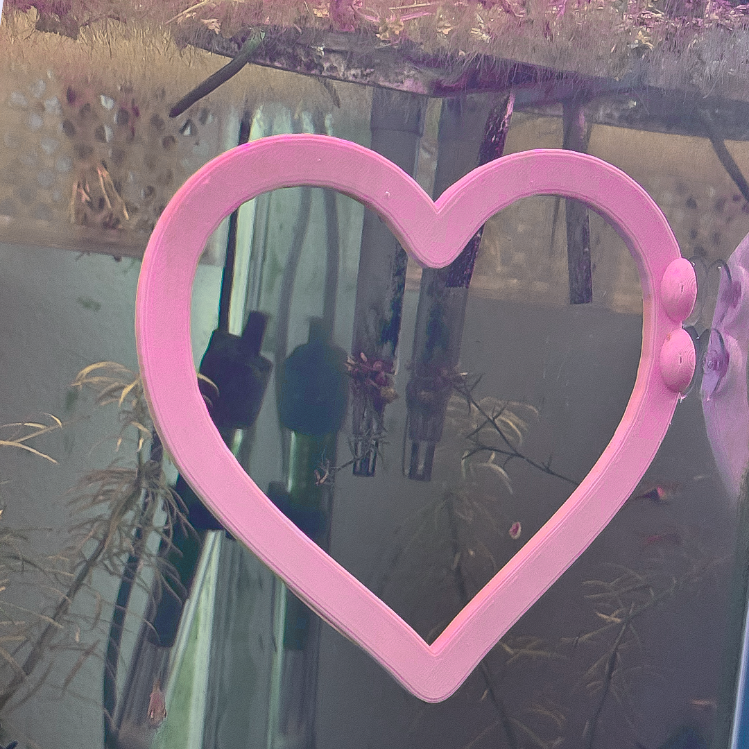 Heart Goldfish Swim Ring