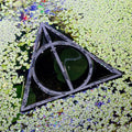 Wizard Hallow Fish Feeding Portal