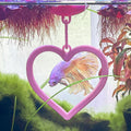 Floating Heart Betta Swim Ring