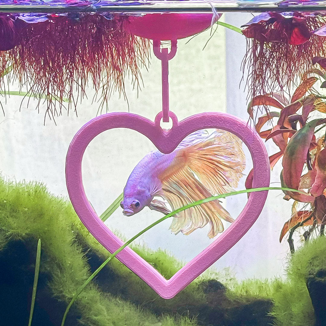 Floating Heart Betta Swim Ring