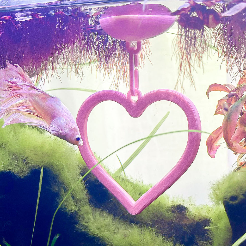 Floating Heart Betta Swim Ring