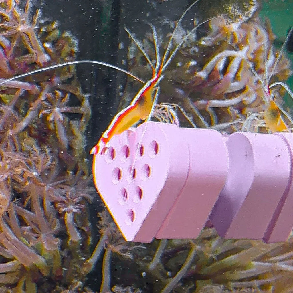 Heart Butterfly Fish / Shrimp Feeder