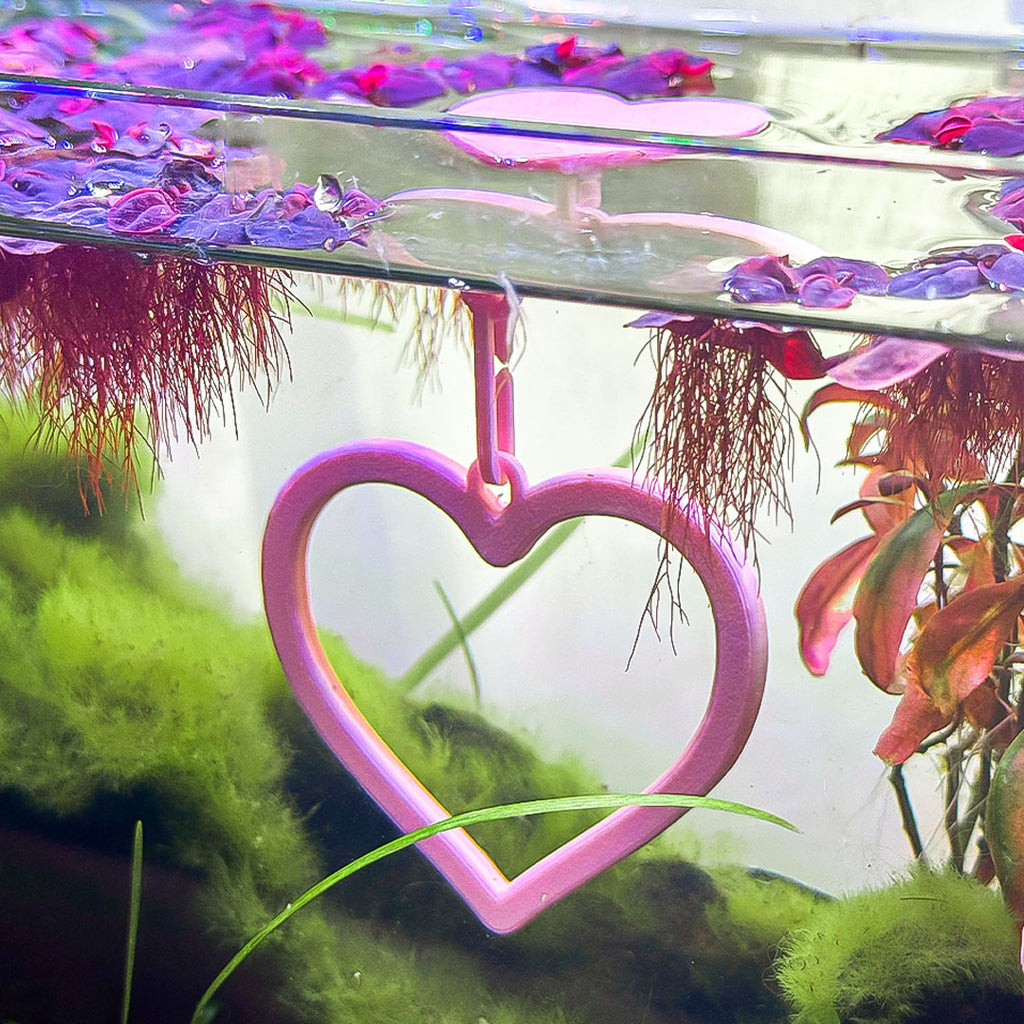 Floating Heart Betta Swim Ring