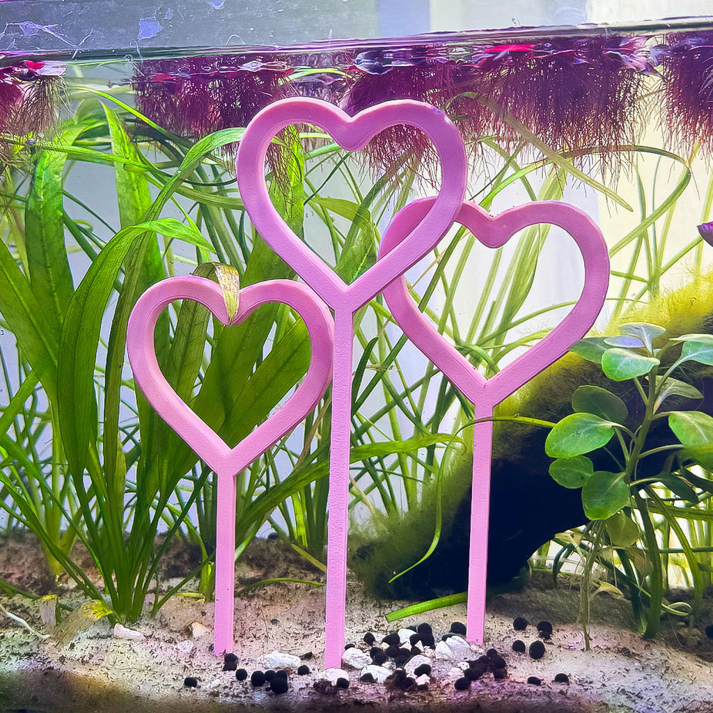 Heart Tri-Hoops for Fish
