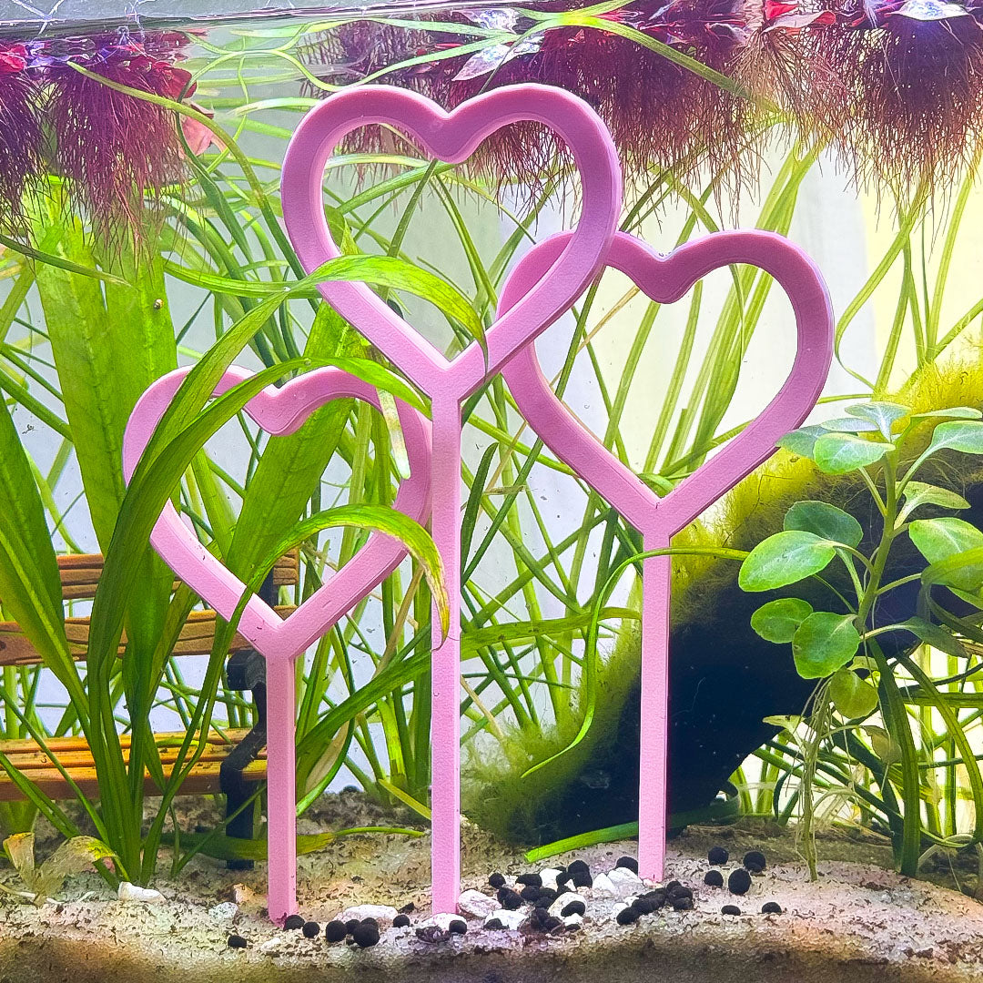 Heart Tri-Hoops for Fish