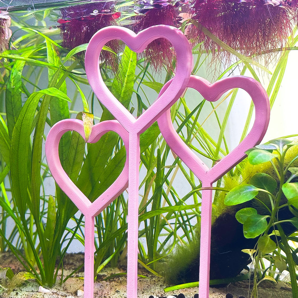 Heart Tri-Hoops for Fish