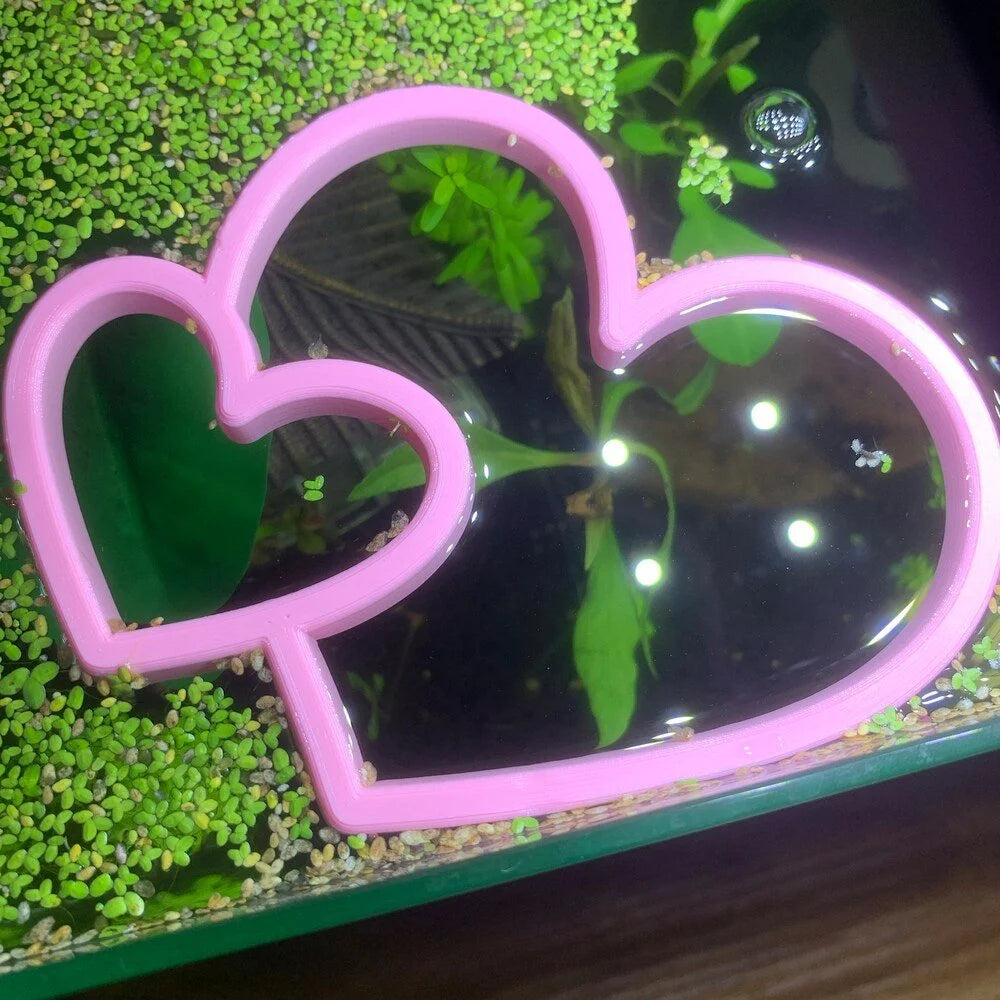 Hearts Fish Feeding Portal