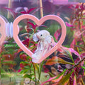 Heart Betta Swim Ring