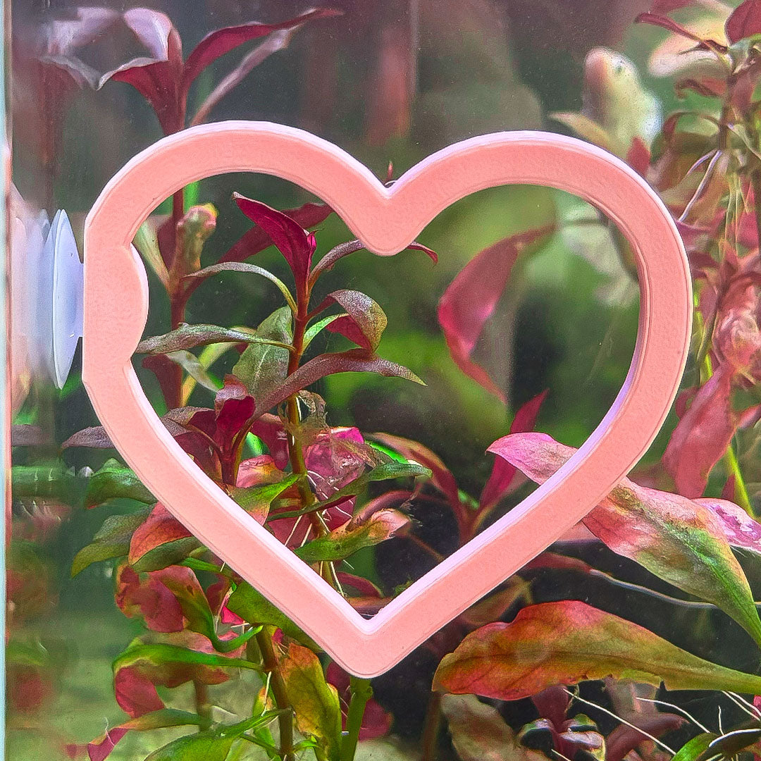 Heart Betta Swim Ring