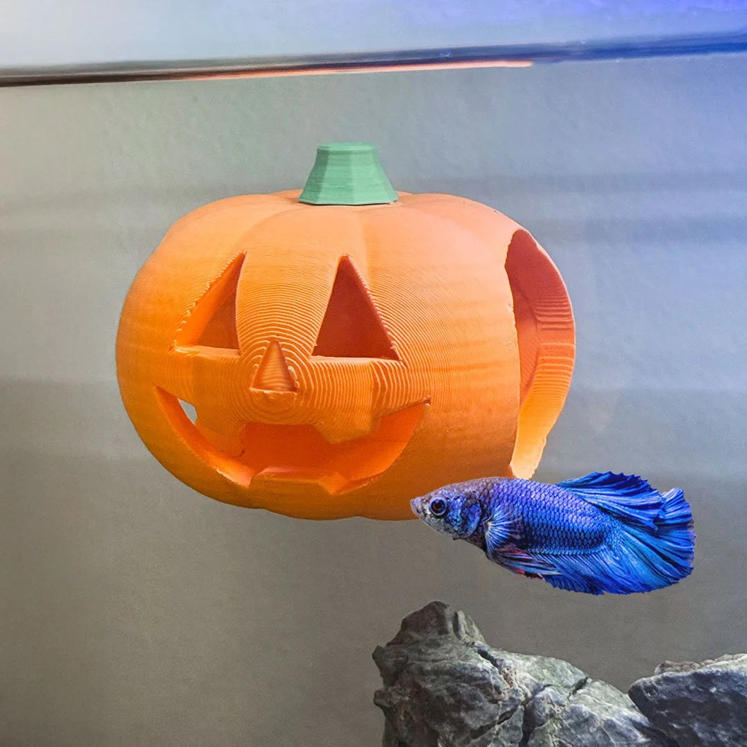 Jack-O-Lantern Betta Hide