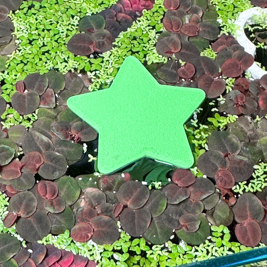 Floating Kawaii Kero Fish Betta Swim Ring