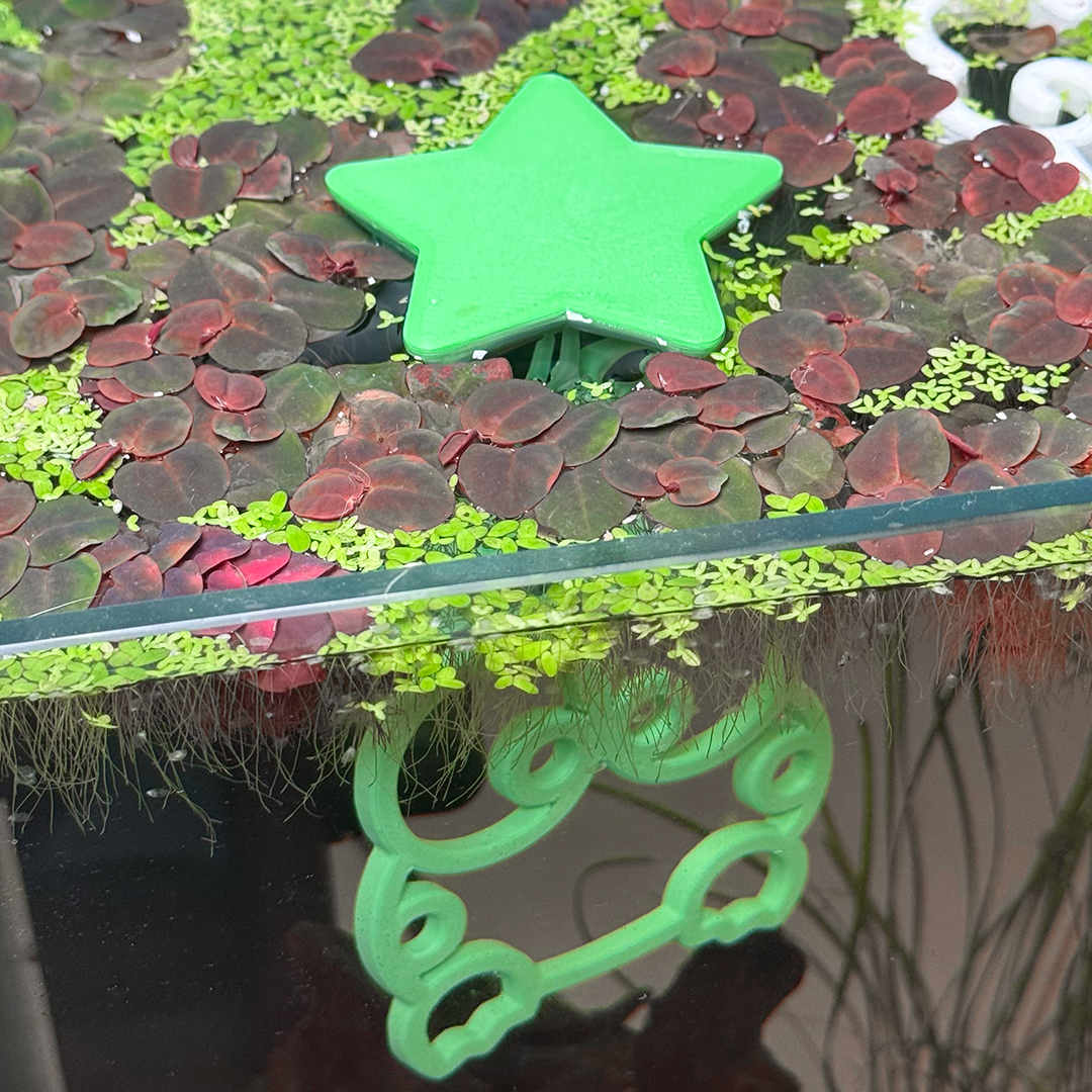 Floating Kawaii Kero Fish Betta Swim Ring