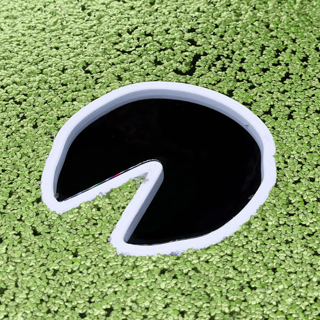 Lilly Pad Fish Feeding Portal