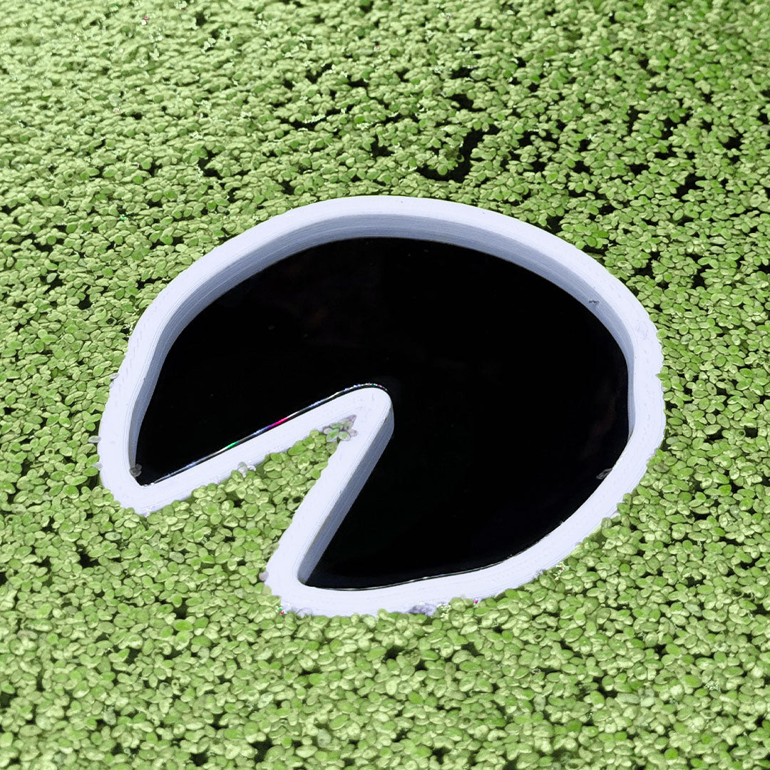 Lilly Pad Fish Feeding Portal