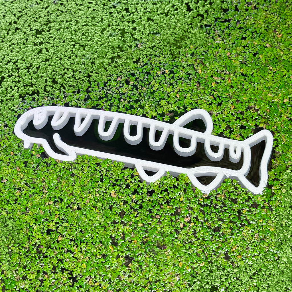 Loach Fish Feeding Portal