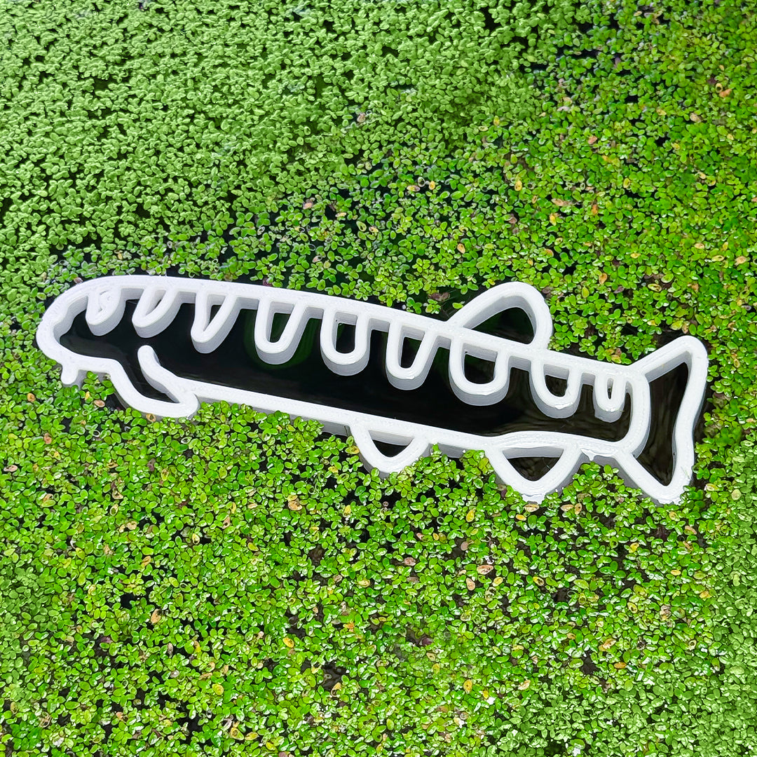 Loach Fish Feeding Portal