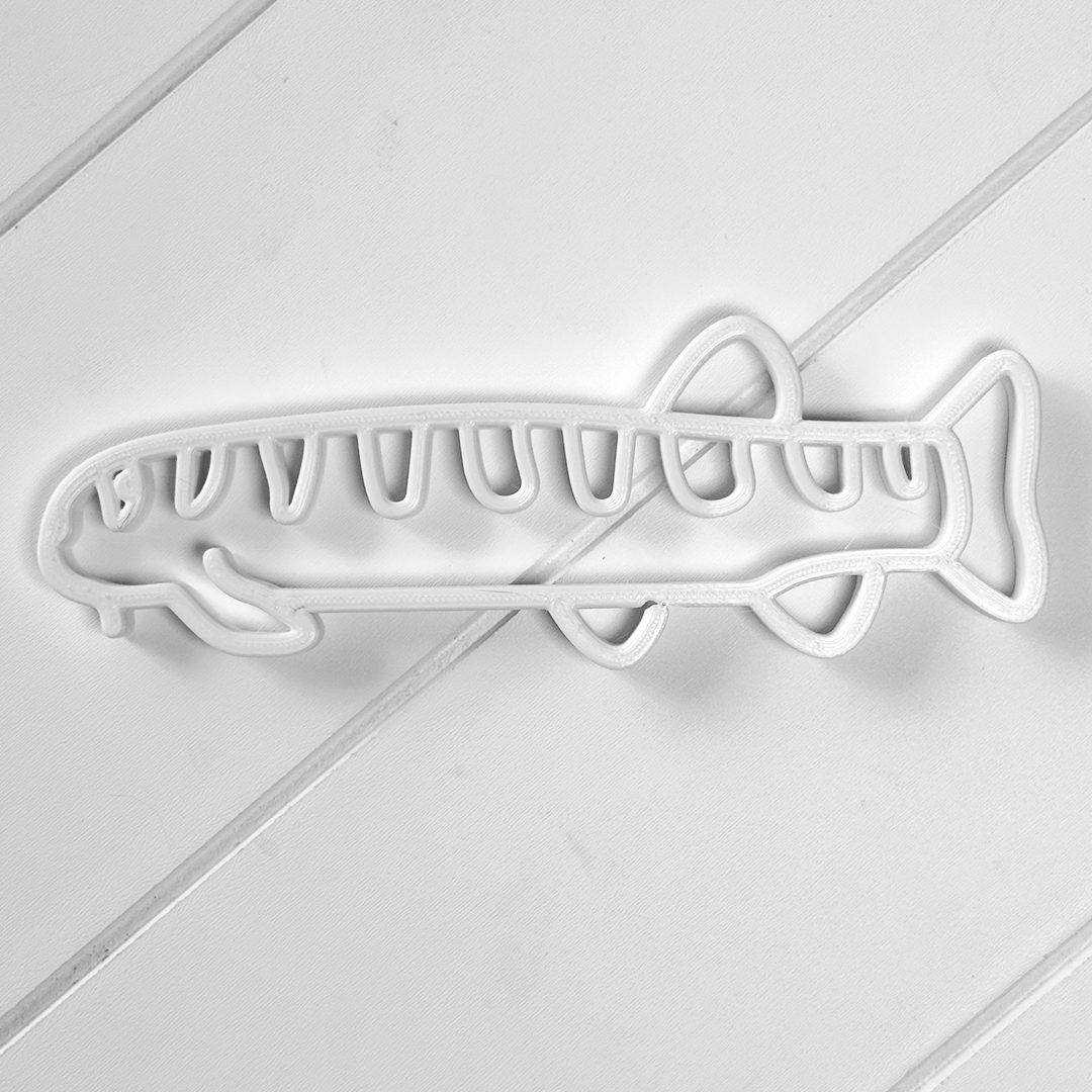 Loach Fish Feeding Portal
