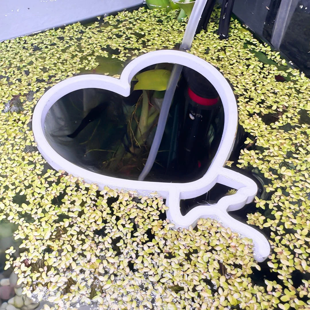 Heart Balloon Fish Feeding Portal