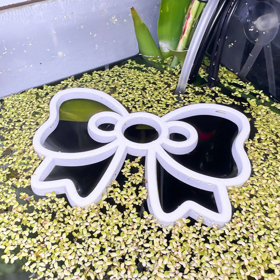 Bow Fish Feeding Portal