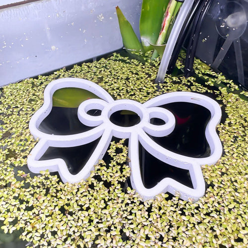 Bow Fish Feeding Portal
