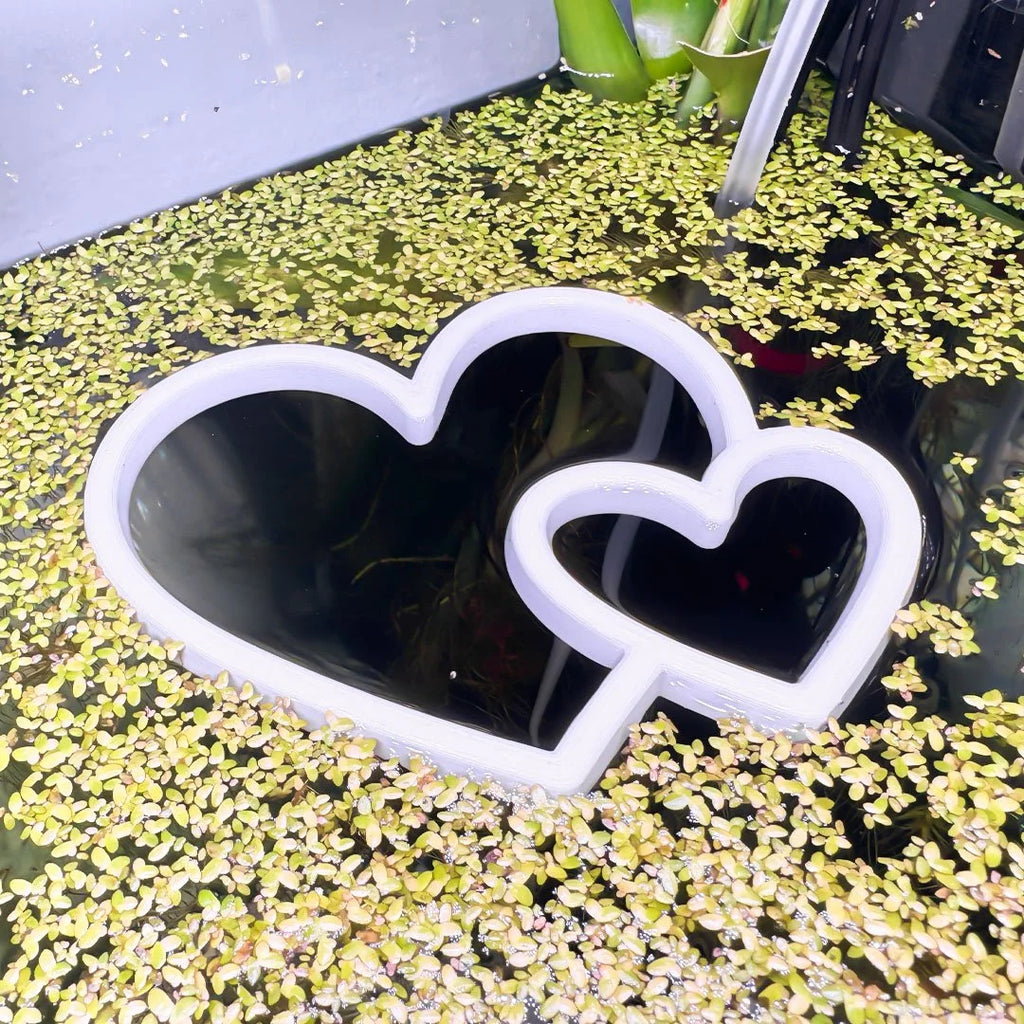 Hearts Fish Feeding Portal
