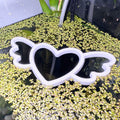Heart Wings Fish Feeding Portal