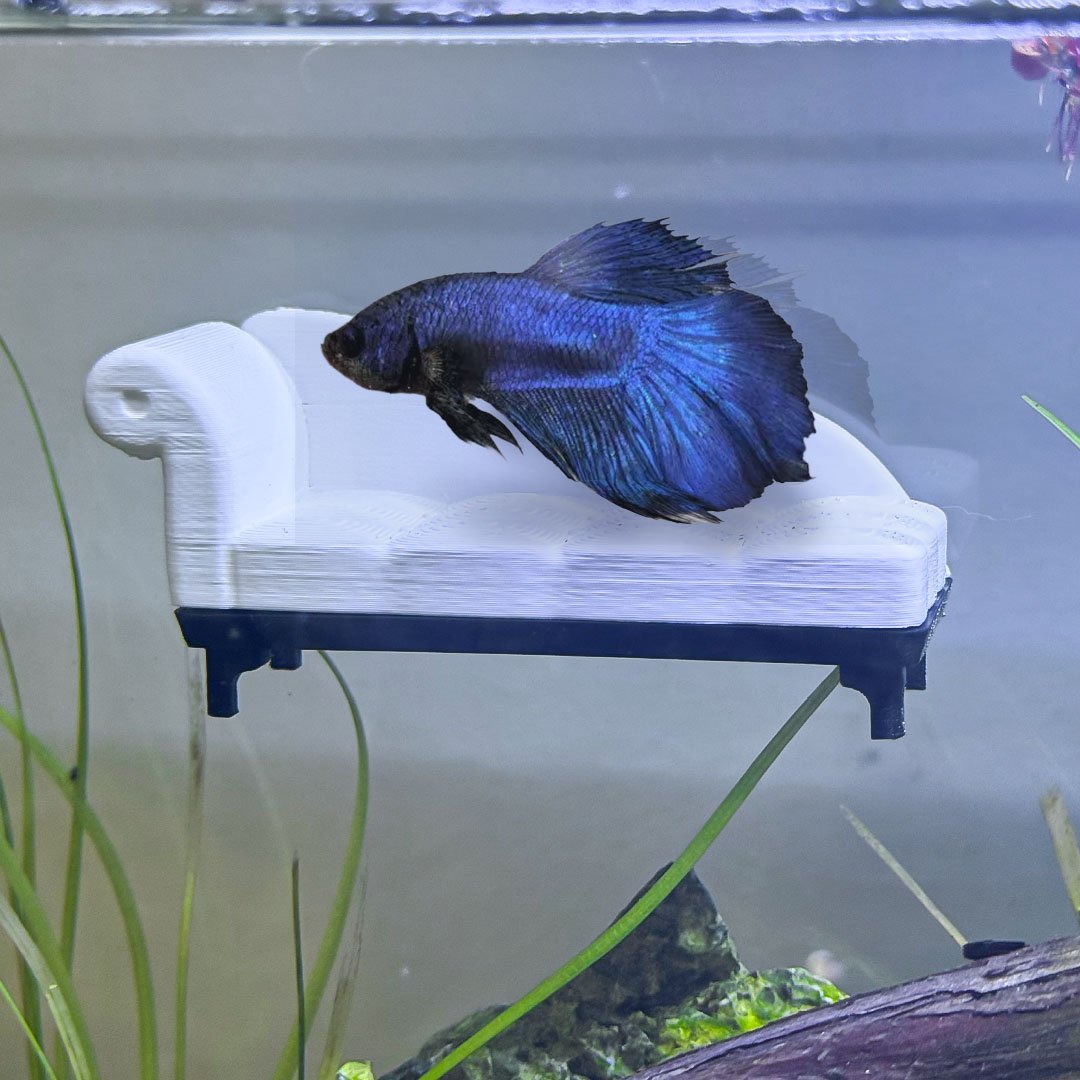 Magnetic Chaise Lounge Perch for Bettas Blenny