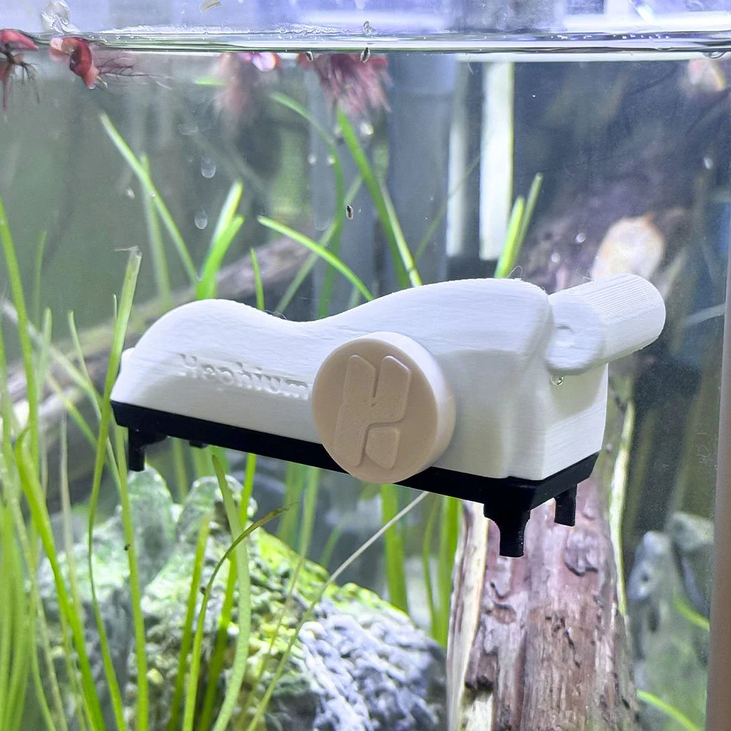 Magnetic Chaise Lounge Perch for Bettas Blenny