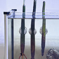 Magnetic Mangrove Holder for Aquariums (3 pk)