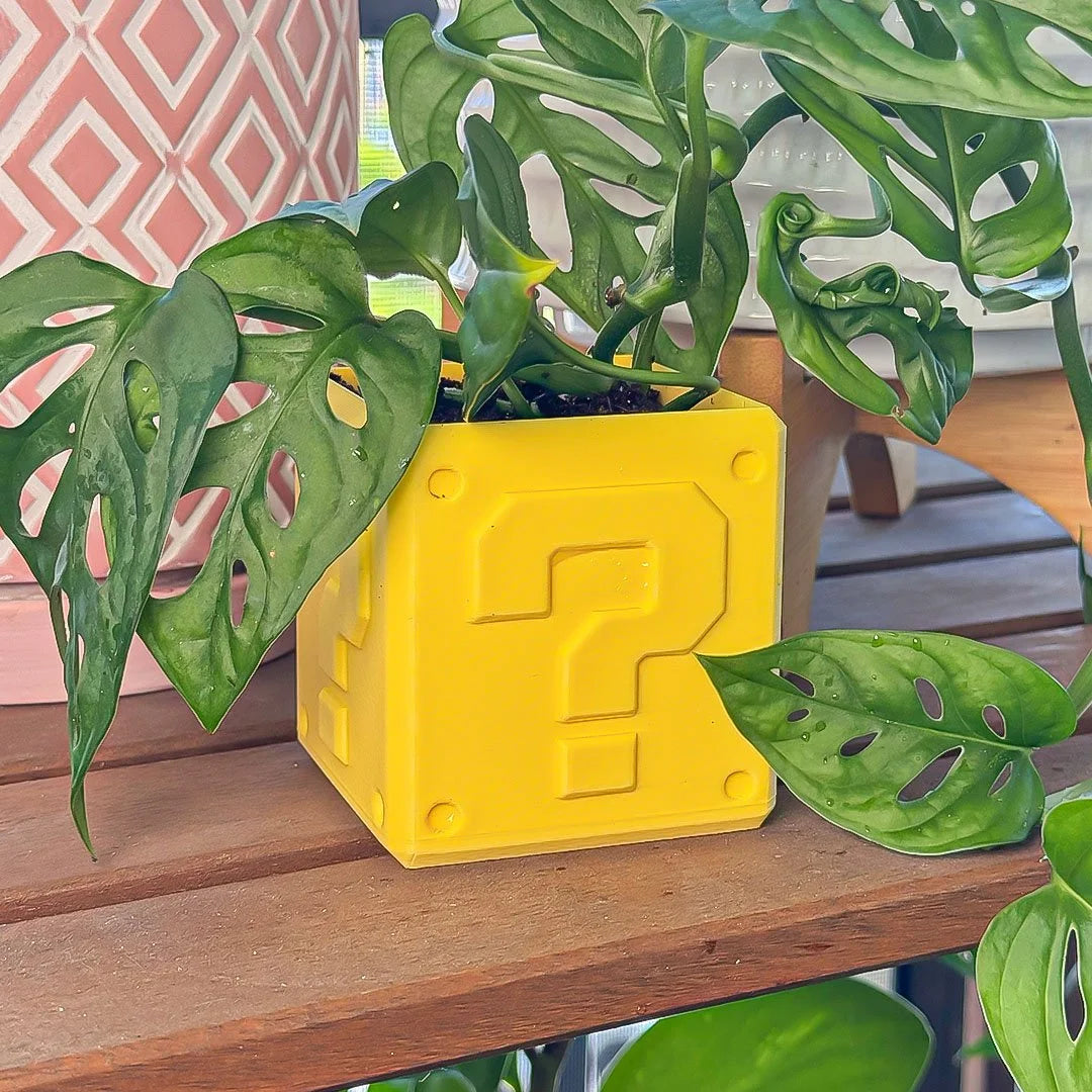 Super Bros ? Planter