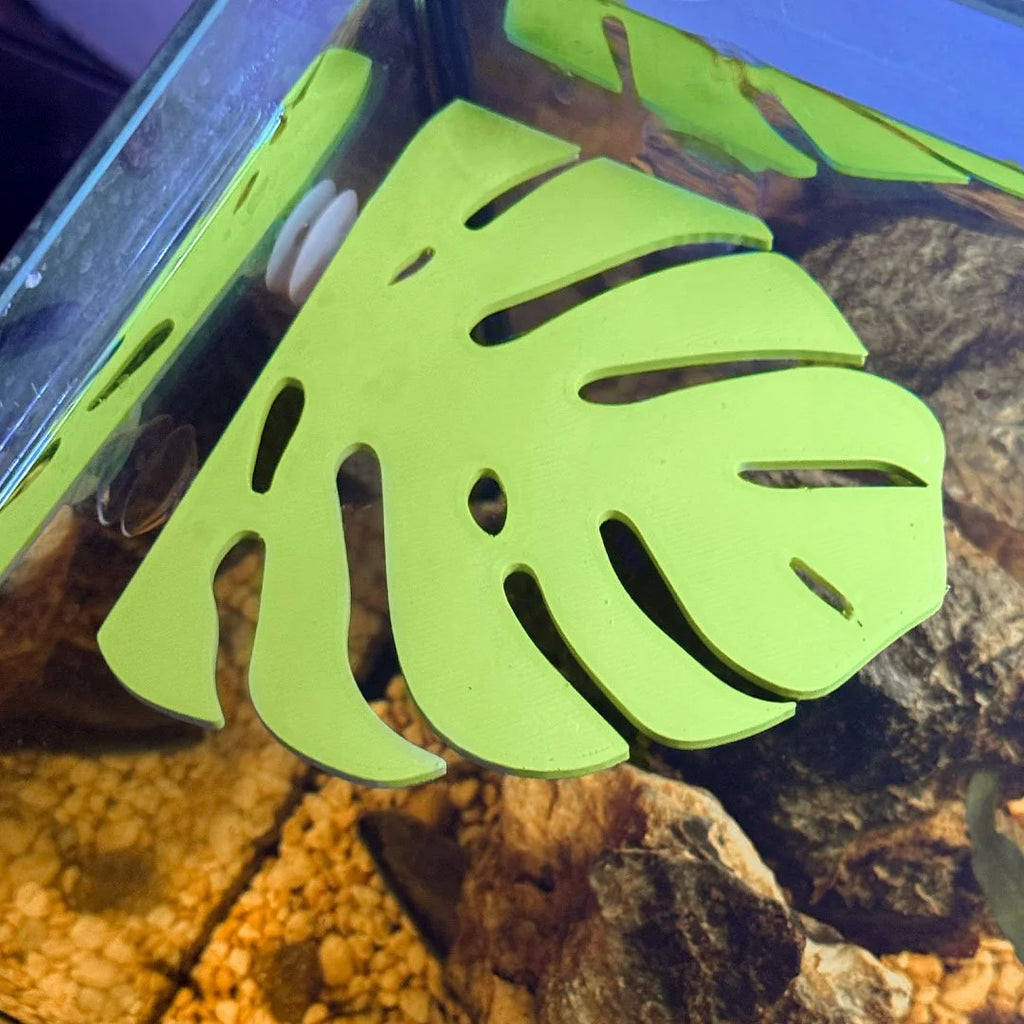 Monstera Leaf Corner Frog Perch