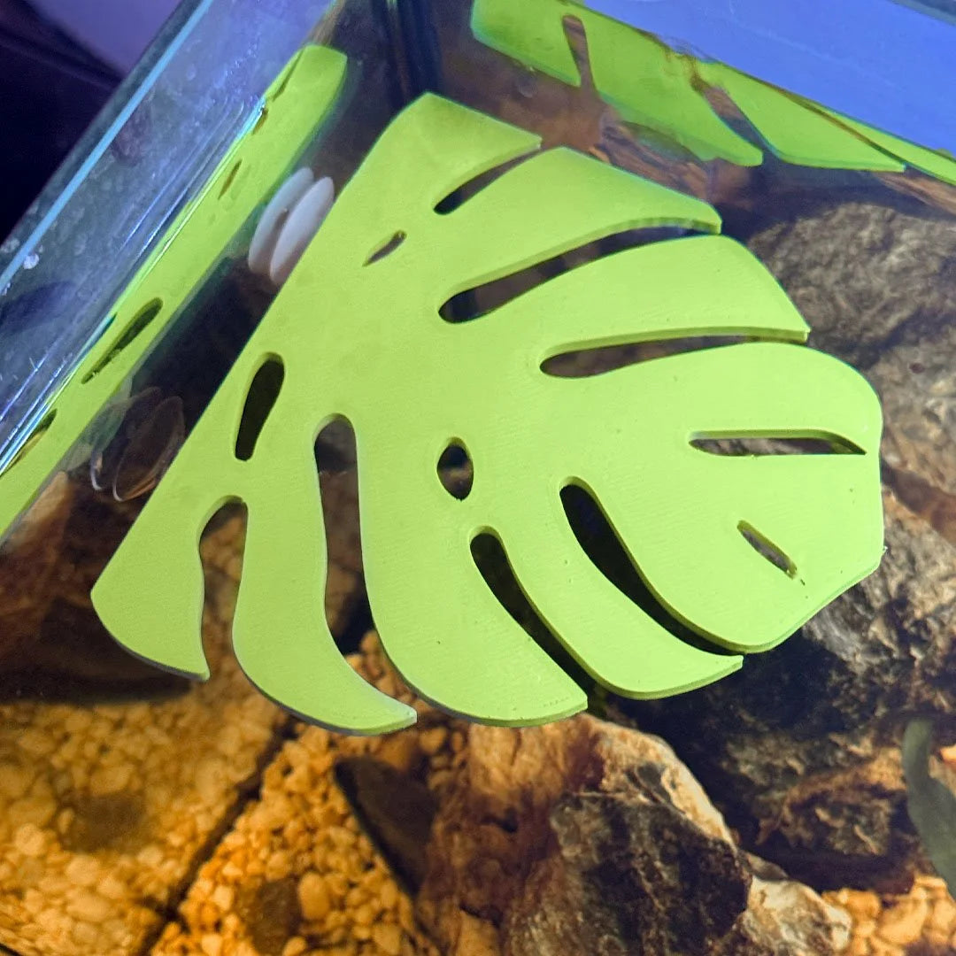 Monstera Leaf Corner Frog Perch