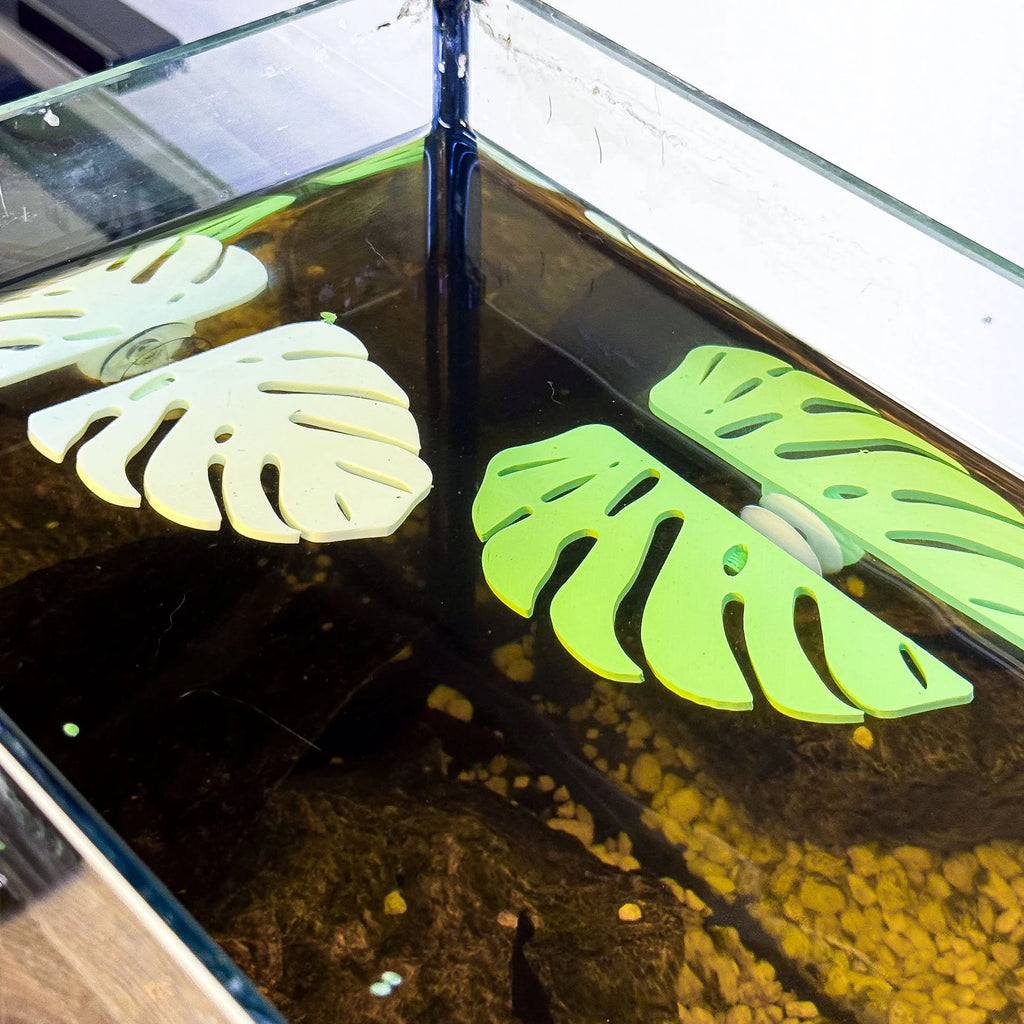 Monstera Leaf Betta Perch / Hammock