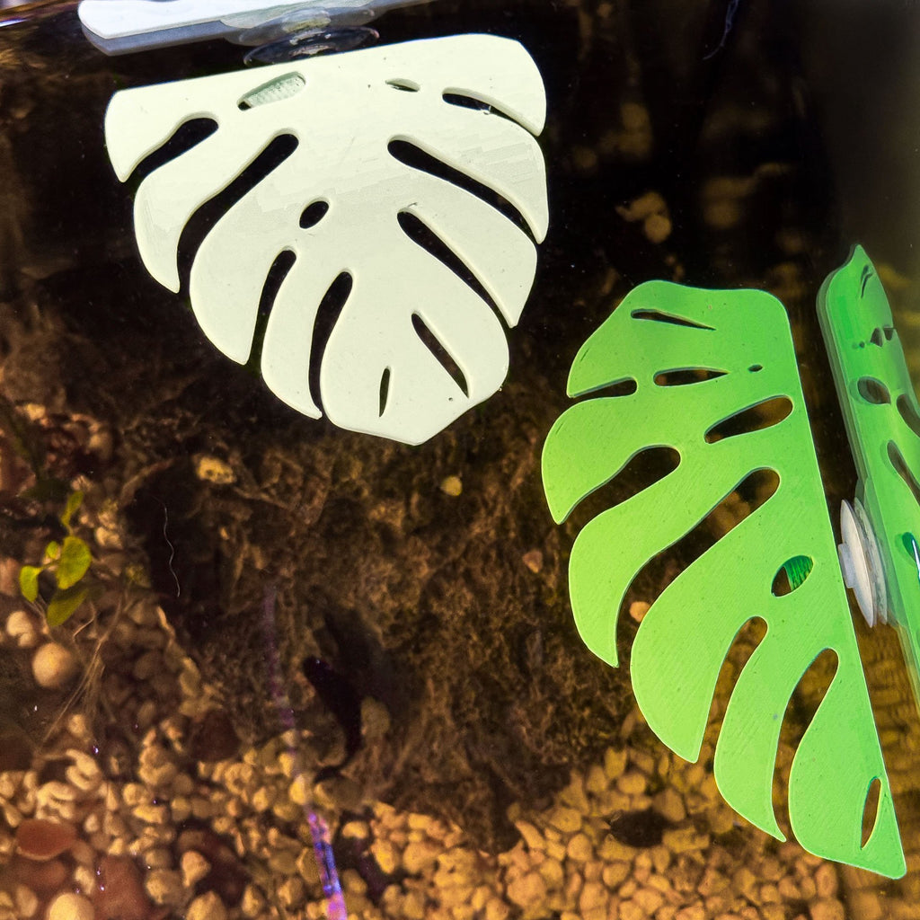 Monstera Leaf Betta Perch / Hammock