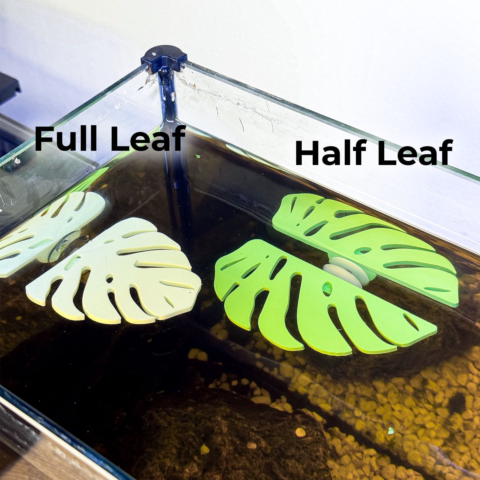 Monstera Leaf Betta Perch / Hammock