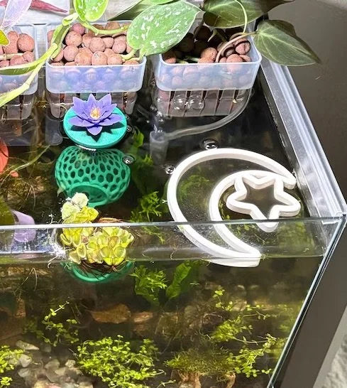 Moonlight Fish Feeding Portal
