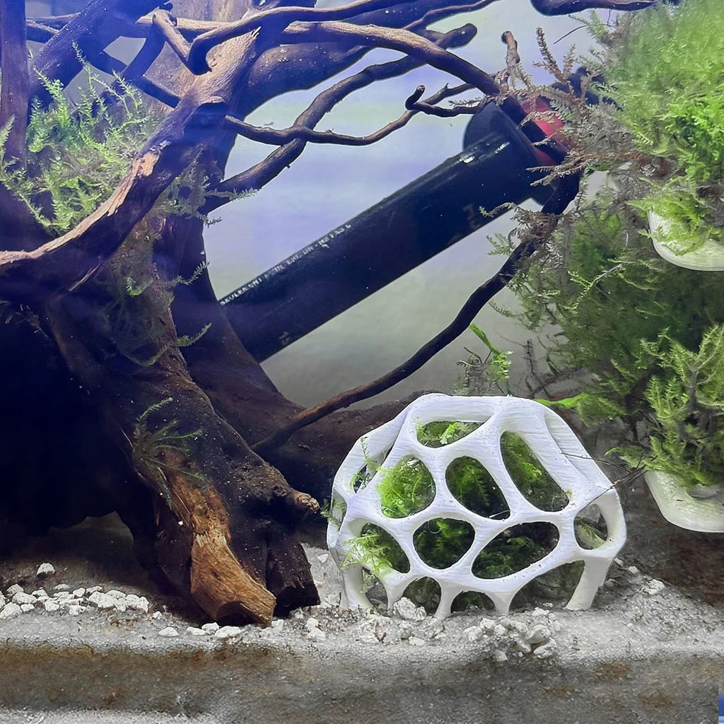 Natural Moss Dome Shrimp Hide