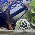 Natural Moss Dome Shrimp Hide