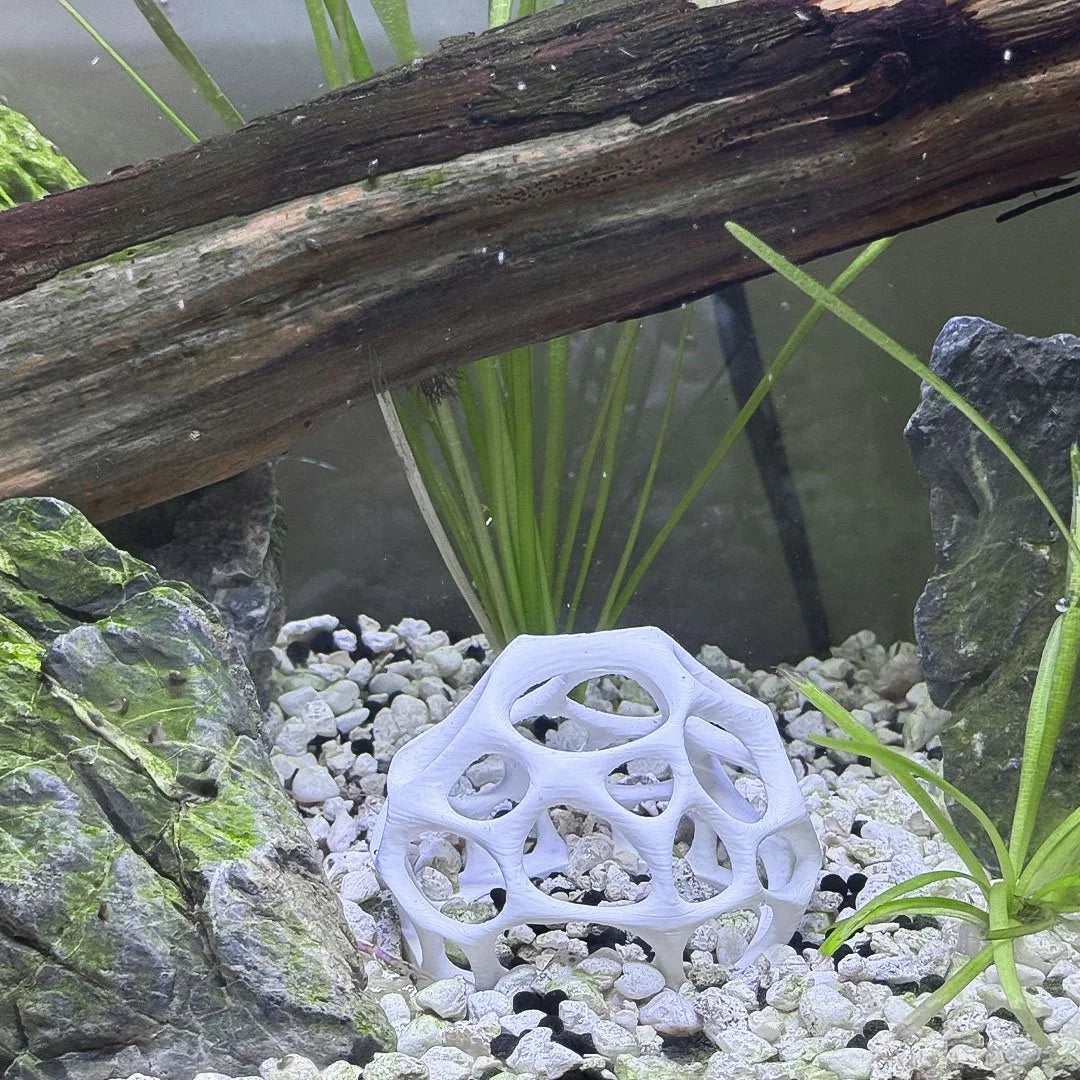 Natural Moss Dome Shrimp Hide