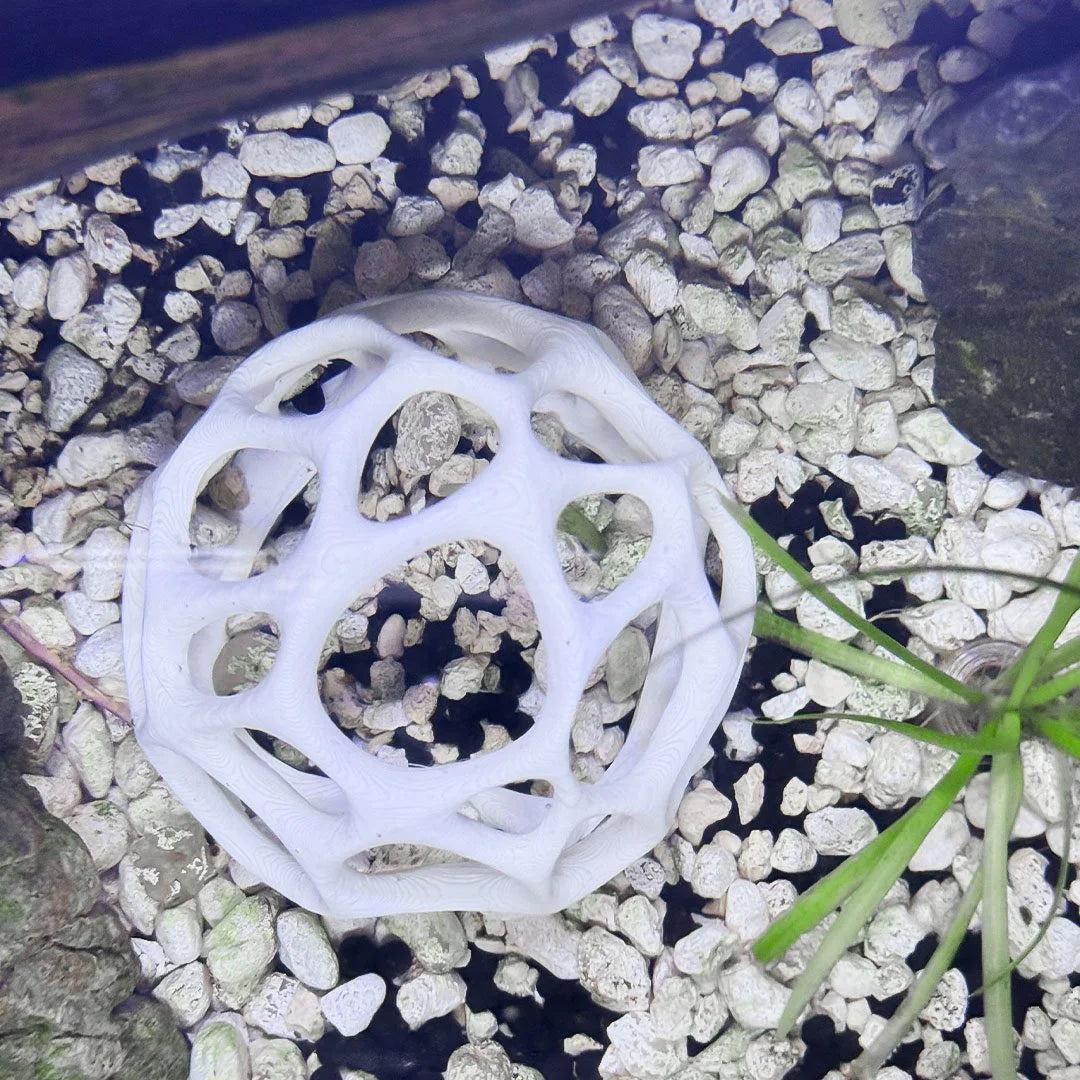 Natural Moss Dome Shrimp Hide
