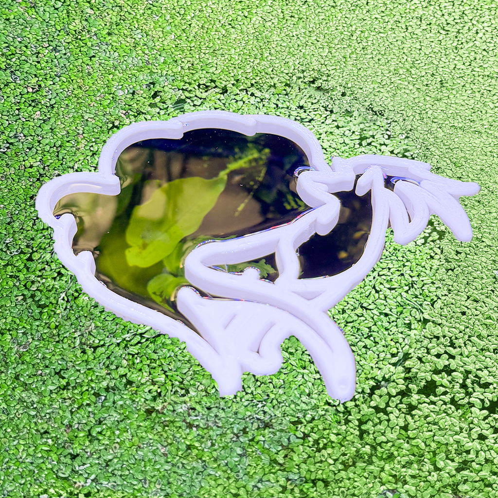 Ninetailed Pokeportal Fish Feeding Portal