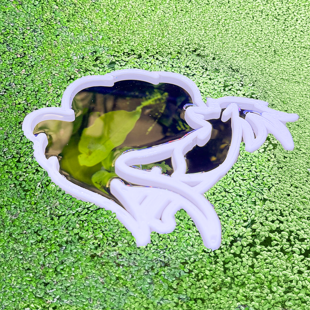 Ninetailed Pokeportal Fish Feeding Portal