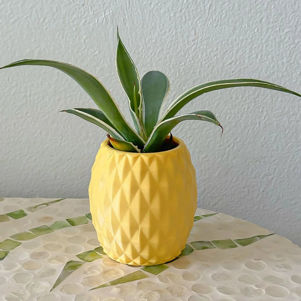 Pineapple Minimalist Planter